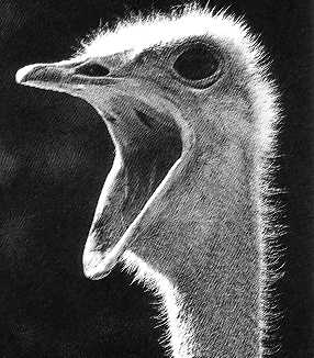 Das hohe C? Kein Problem!